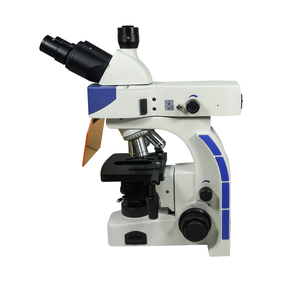 Fluorescence Microscope